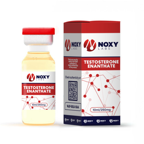 Noxy Labs - Testosterone Enanthate 250mg.